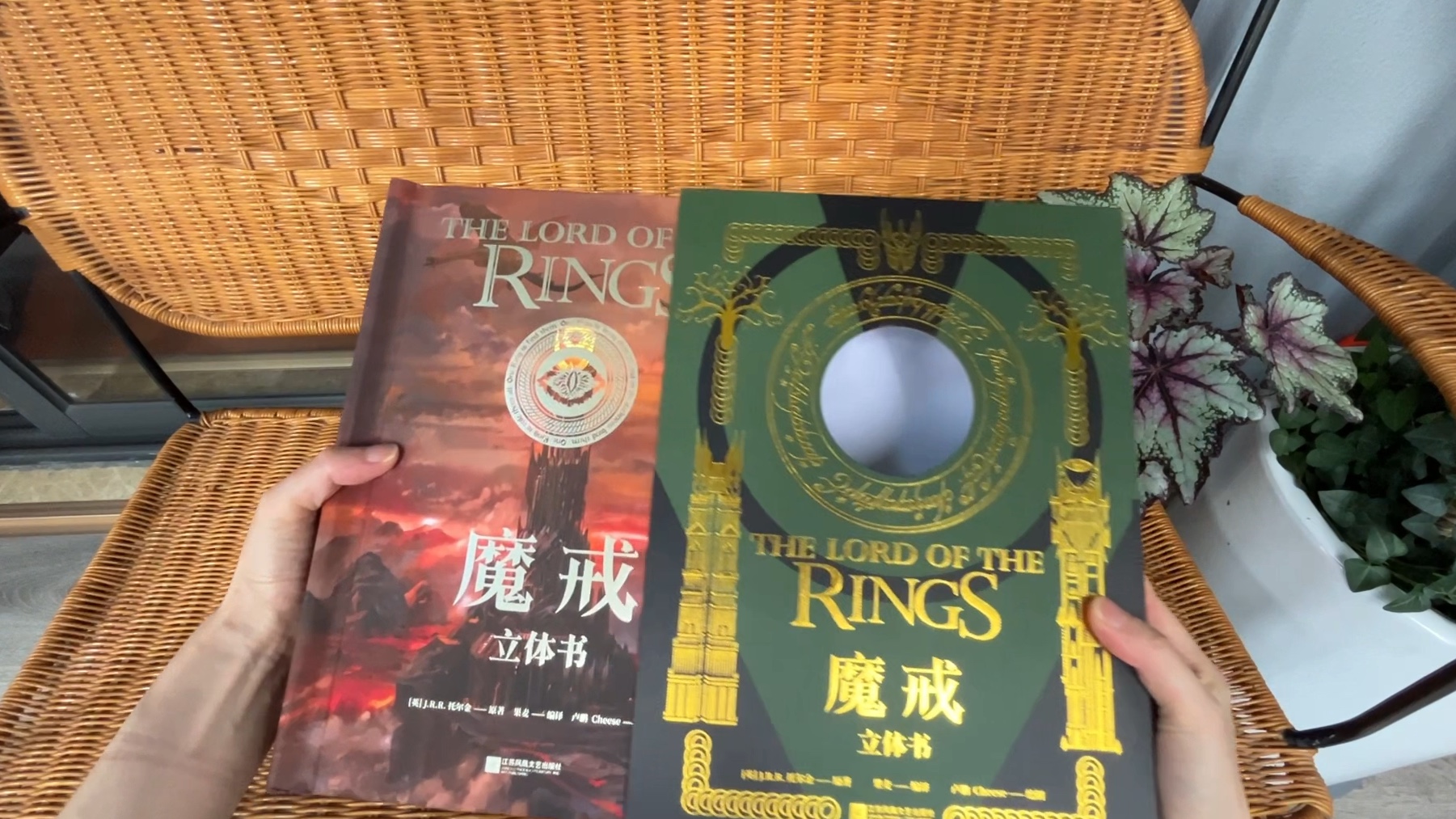 PP的立体书—《魔戒》，纸艺设计来自王伟，立体展现夏尔、瑞文戴