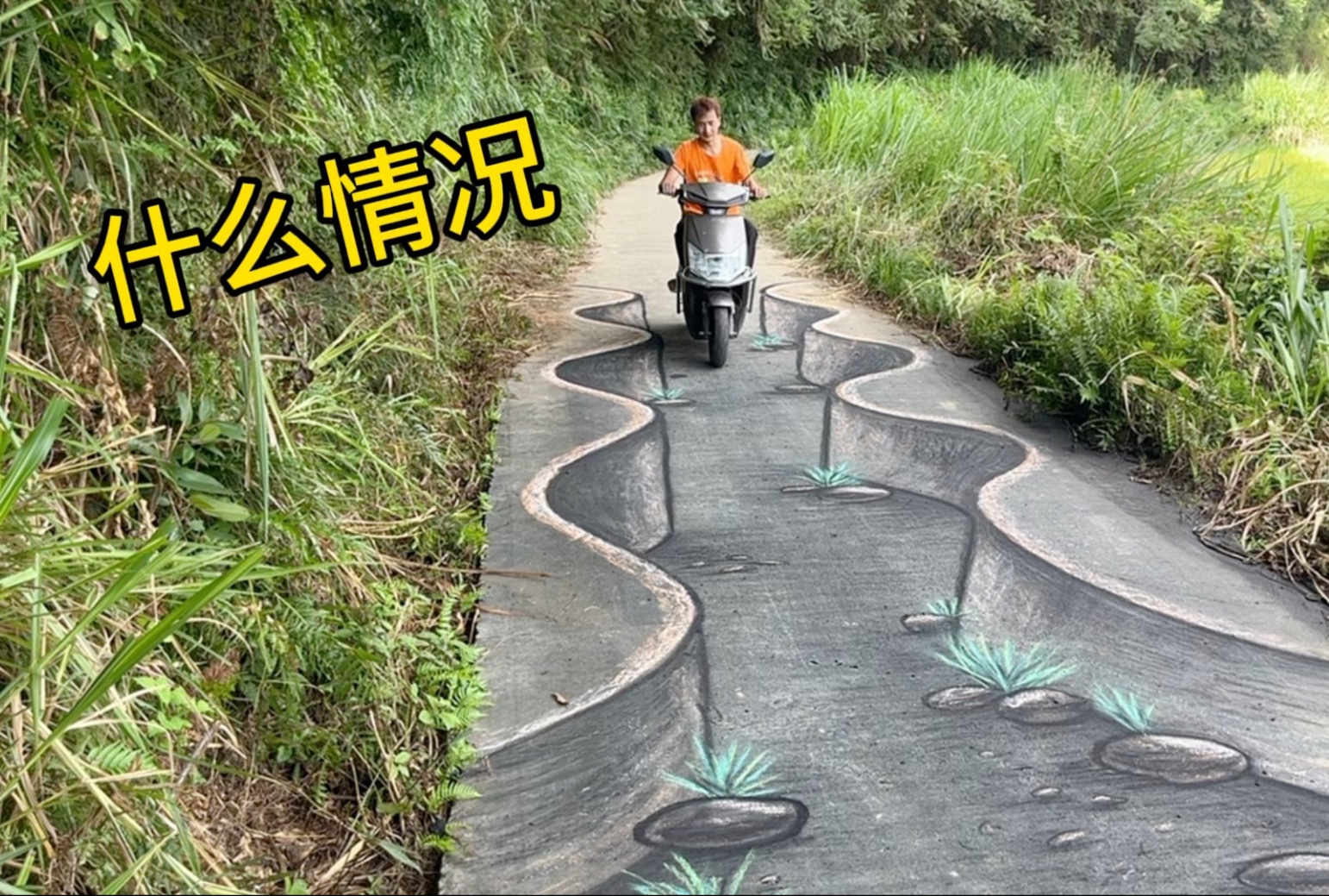 在马路上画条小路，路人看到会有啥反应？