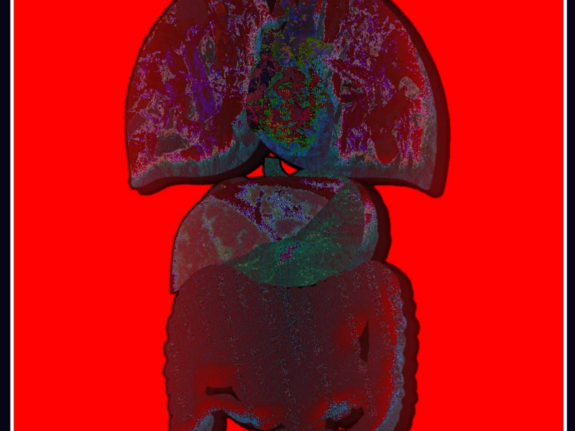 【自设】P.H