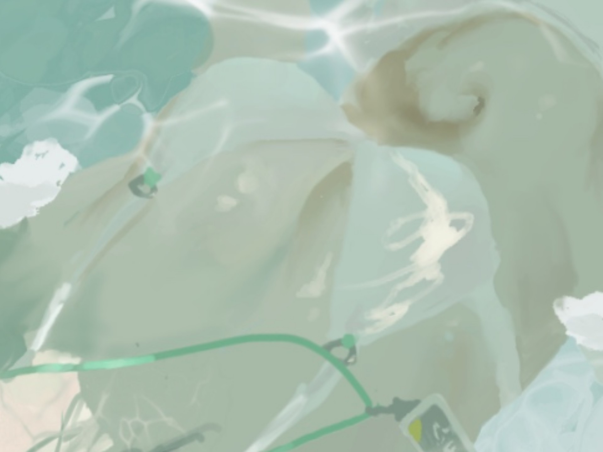 羽❤️毛❤️笔