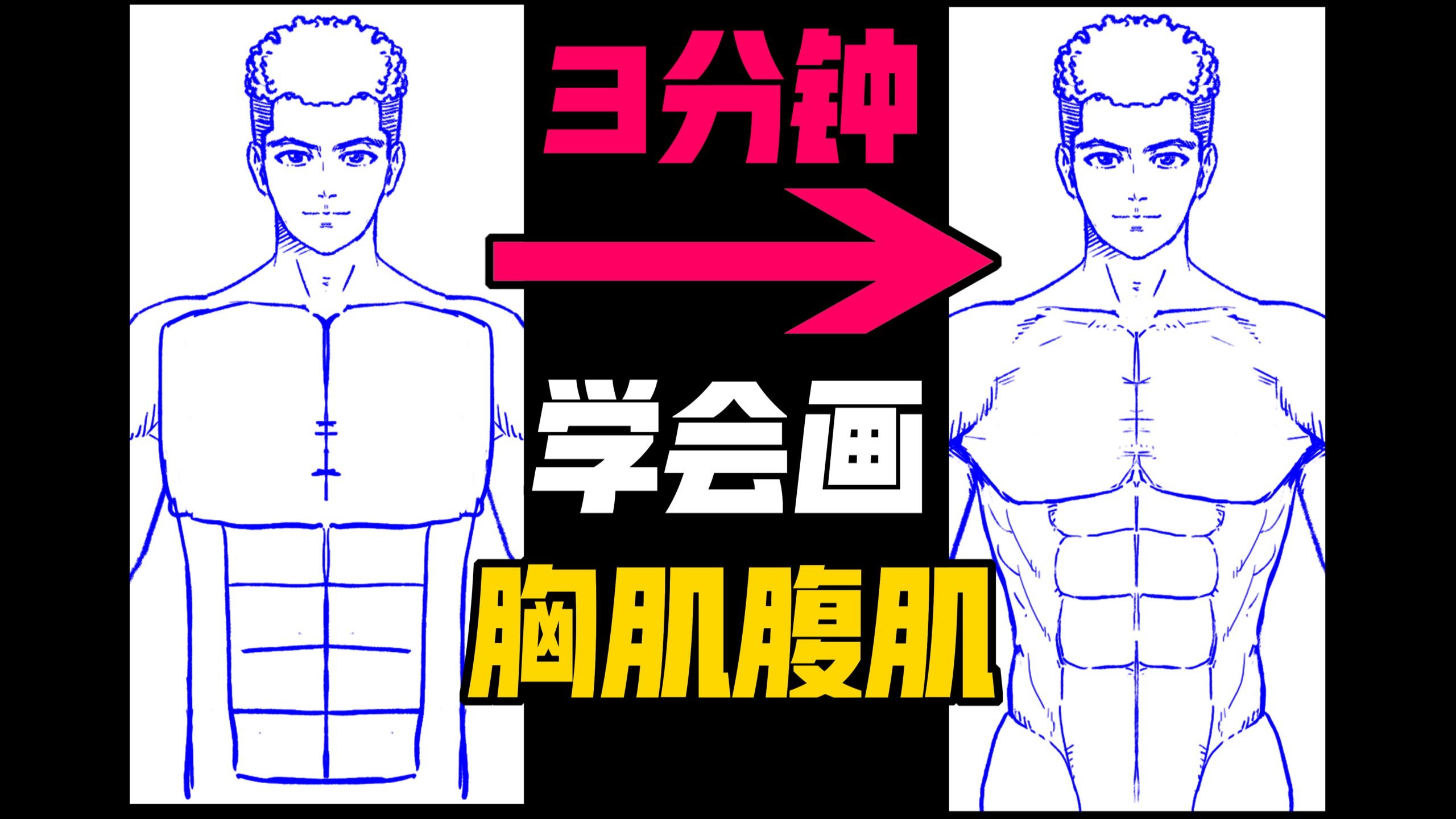 【变态级】简单的胸肌腹肌画法教程！