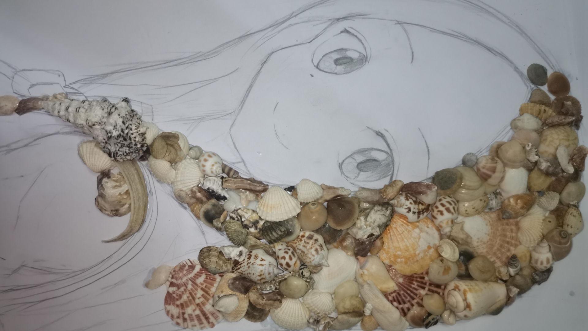 我完成了B站，仅有一幅的高木贝壳画