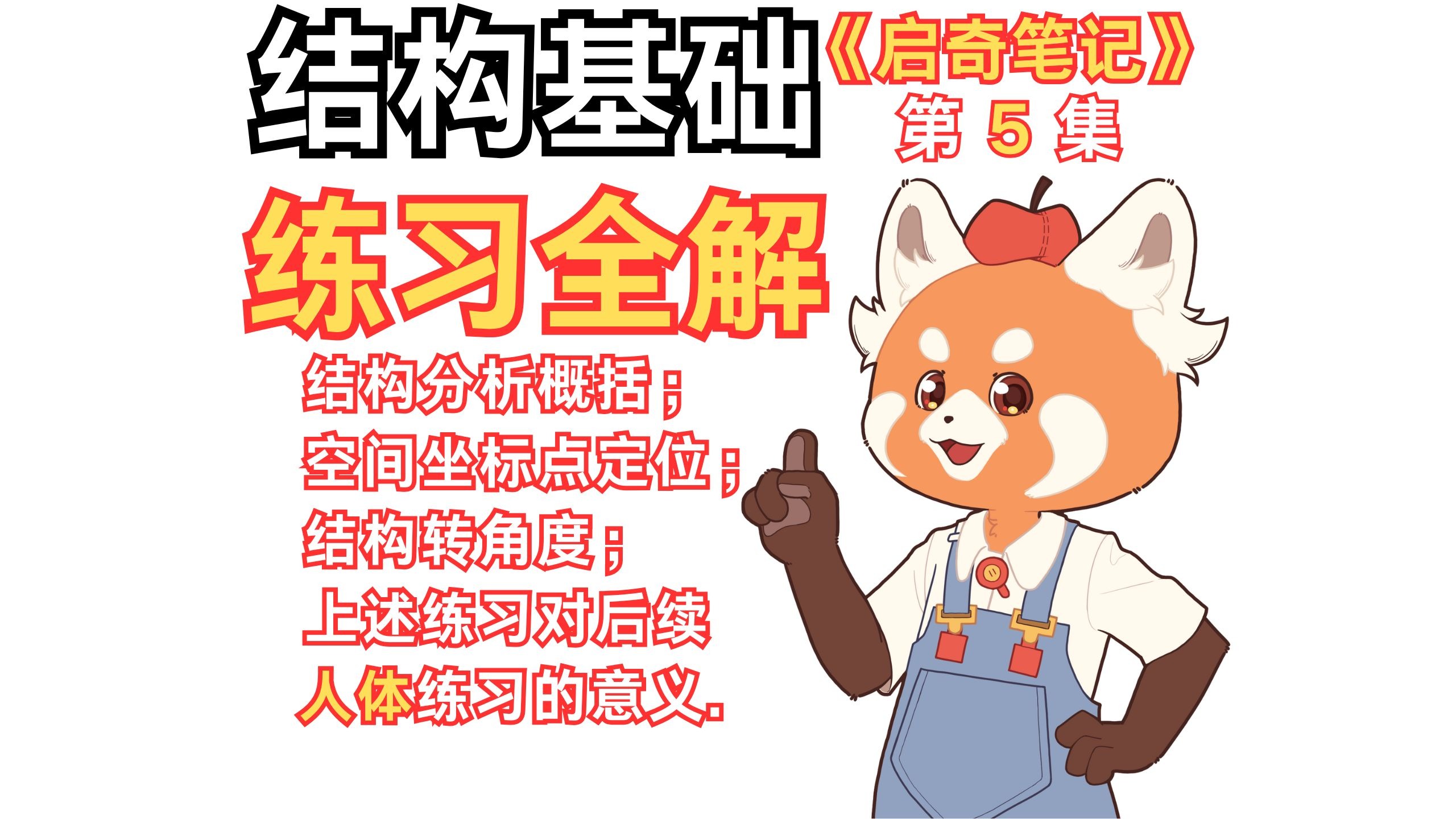 你的人体为什么放不进方盒子？【启奇笔记05】