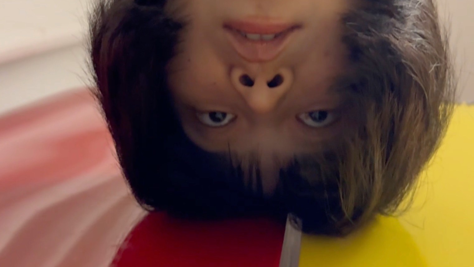 当美食博主遇上画虾得金