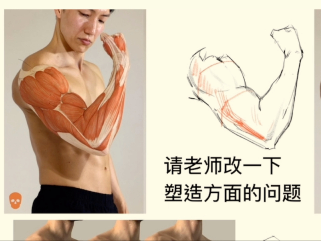 「手臂结构深度剖析」从作业批改看体积塑造的三大误区与调整