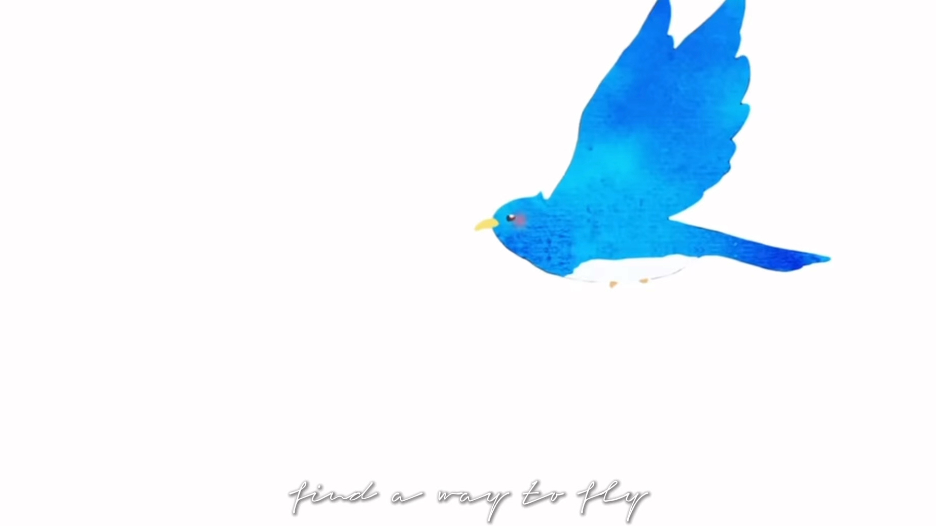 -  Ｂｌｕｅｂｉｒｄ  -