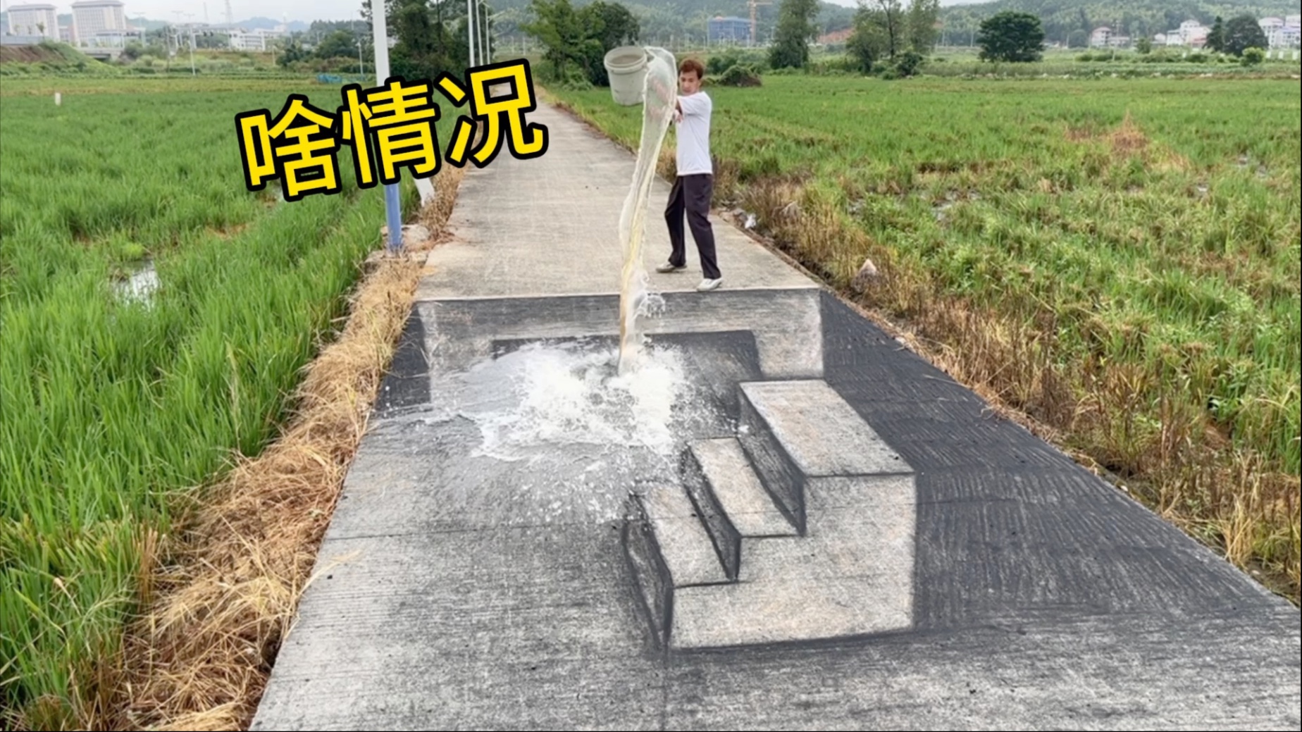 在马路上画座楼梯，狗居然能“钻”到洞里！