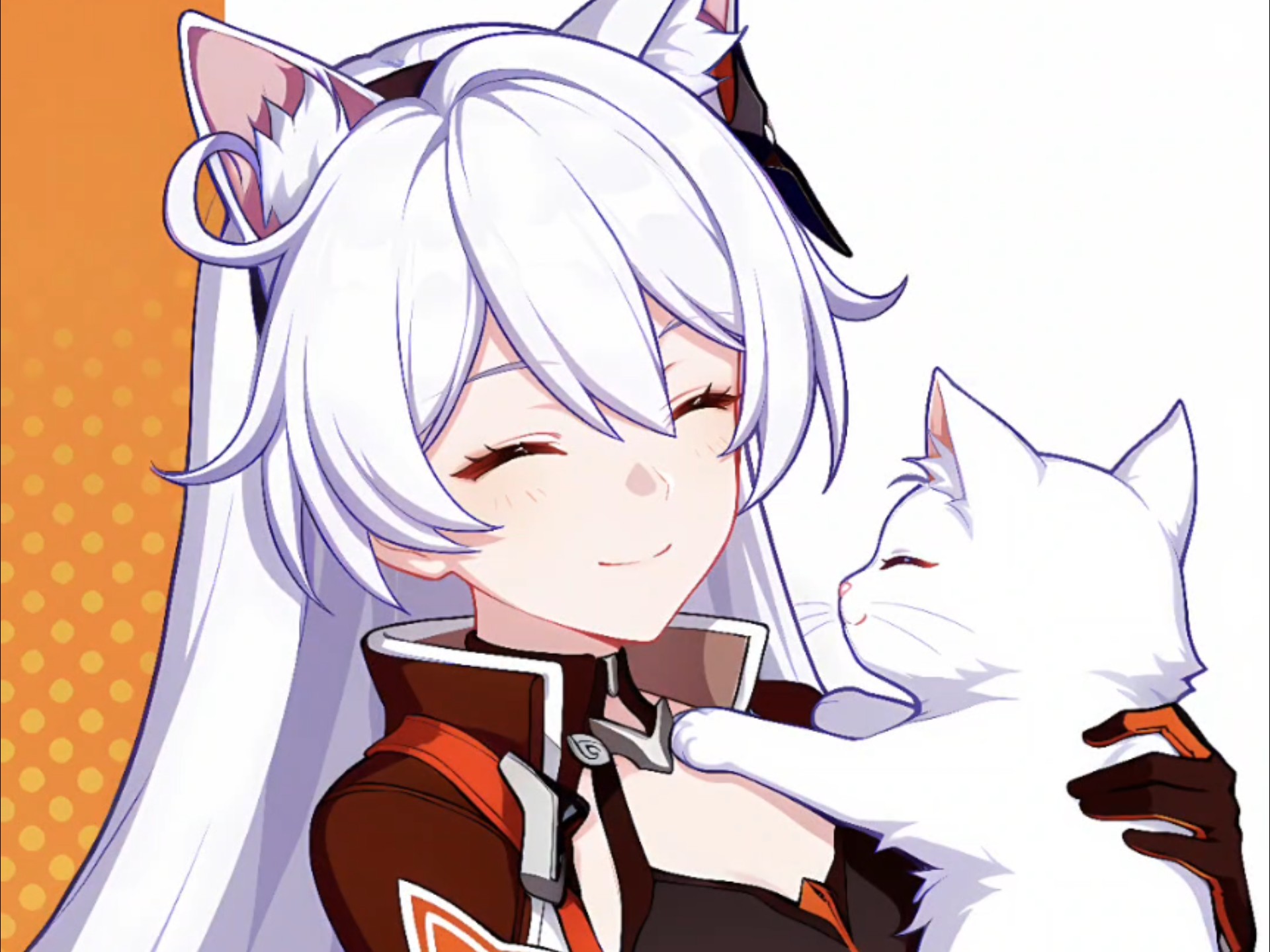 你最喜欢哪只琪猫猫呢？
