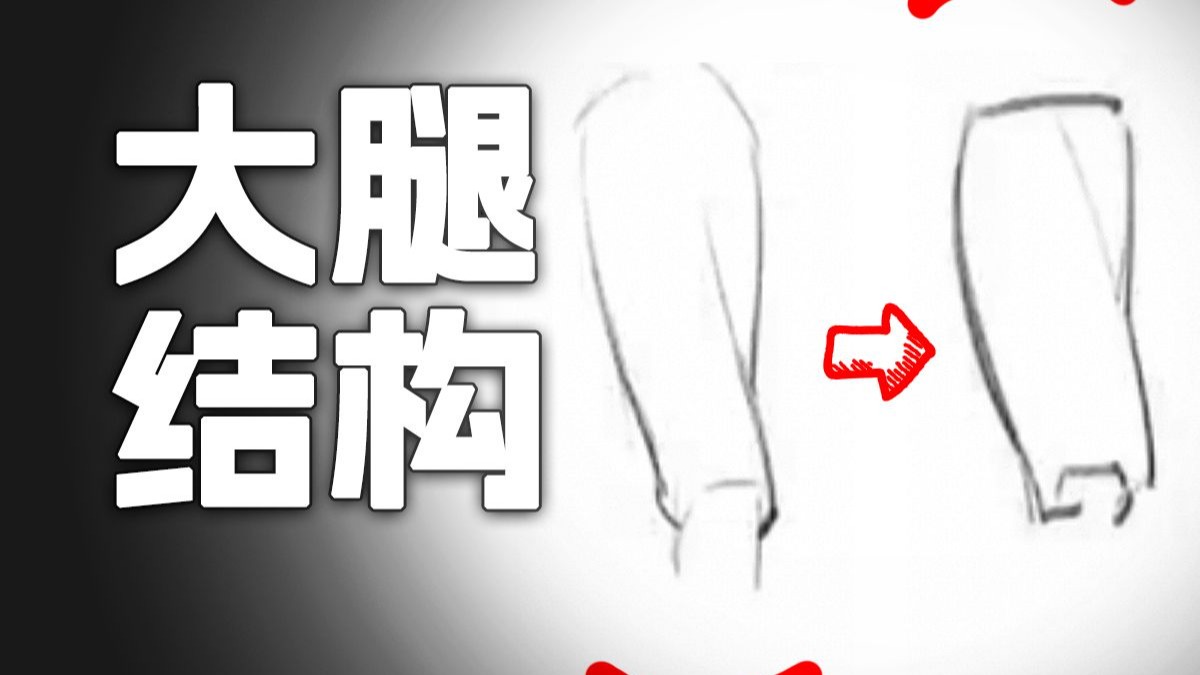 【人体结构团练】一些理解大腿结构的小经验