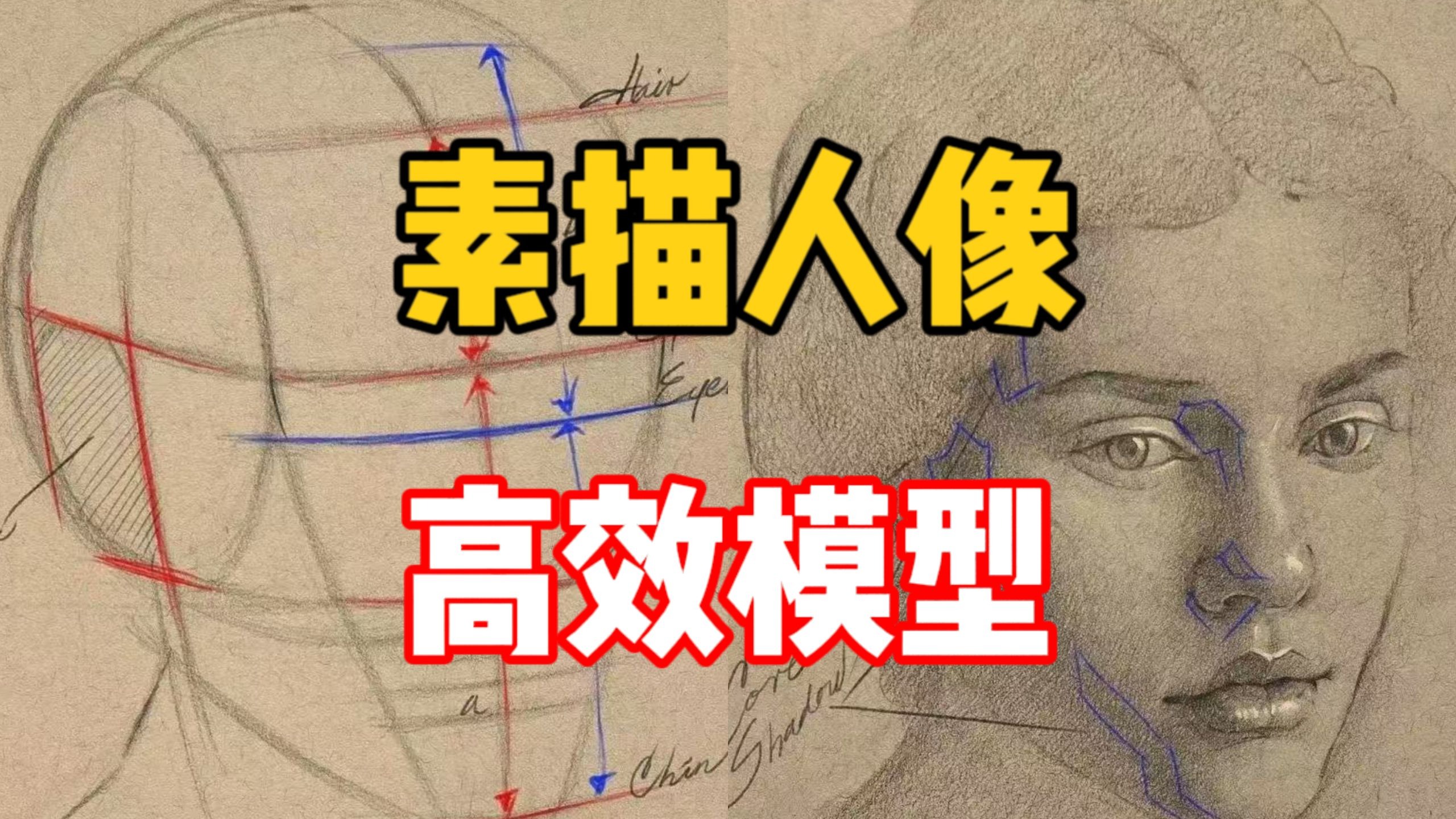 【素描教程】一个模型搞定人像画法！ 清美上平 素描教程