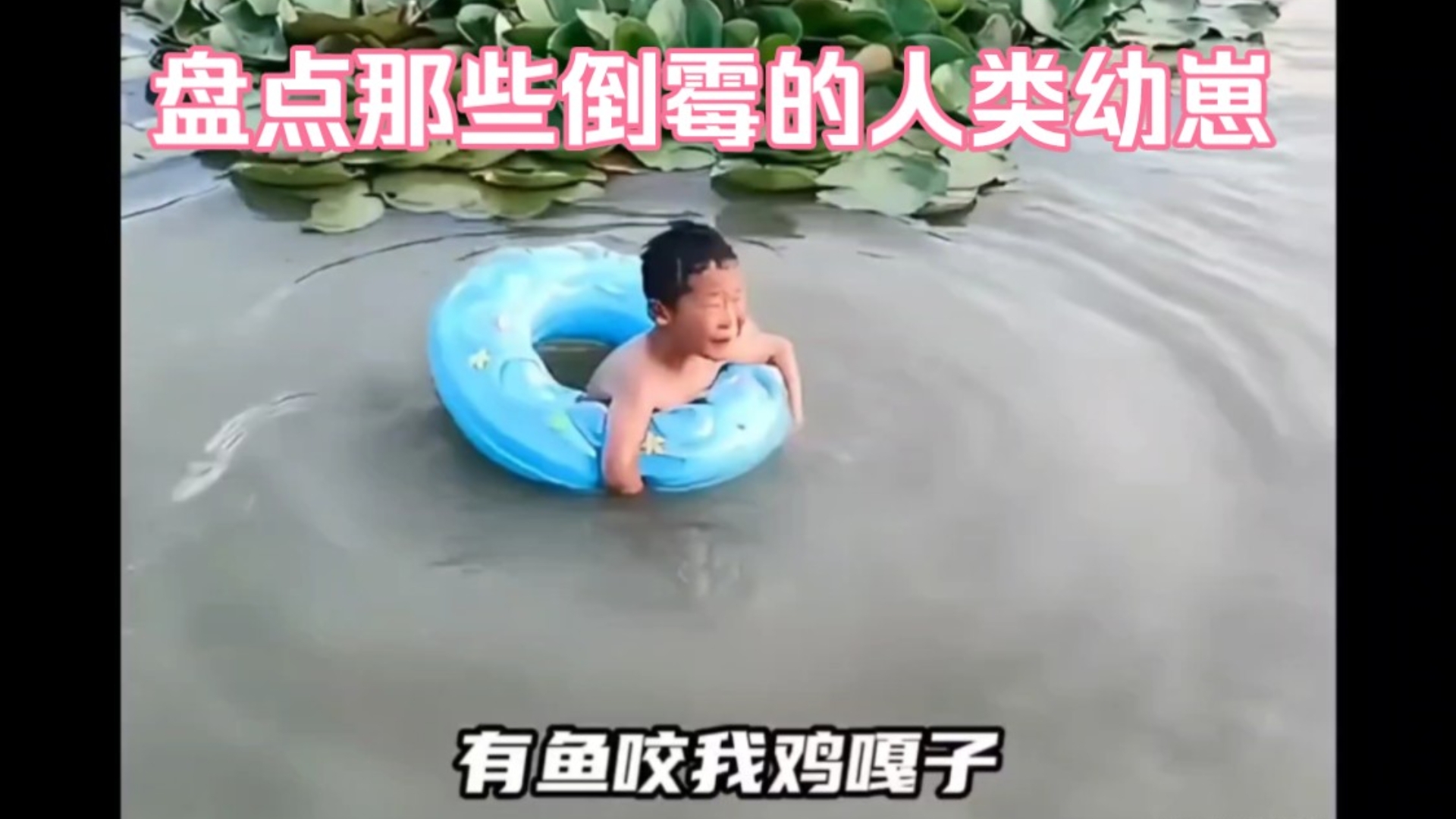 那些倒霉的人类幼崽，真是既心疼又好笑！ 【人类幼崽迷惑行为】