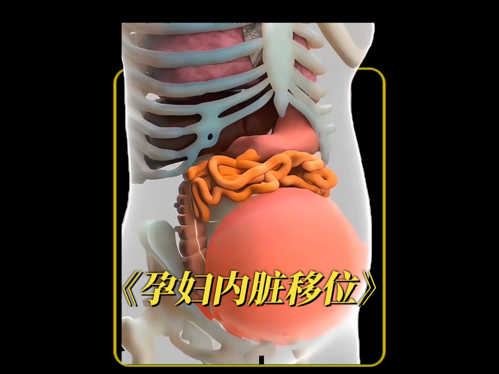 孕妇的内脏移位究竟有多夸张？妈妈的艰辛远超我们想象！