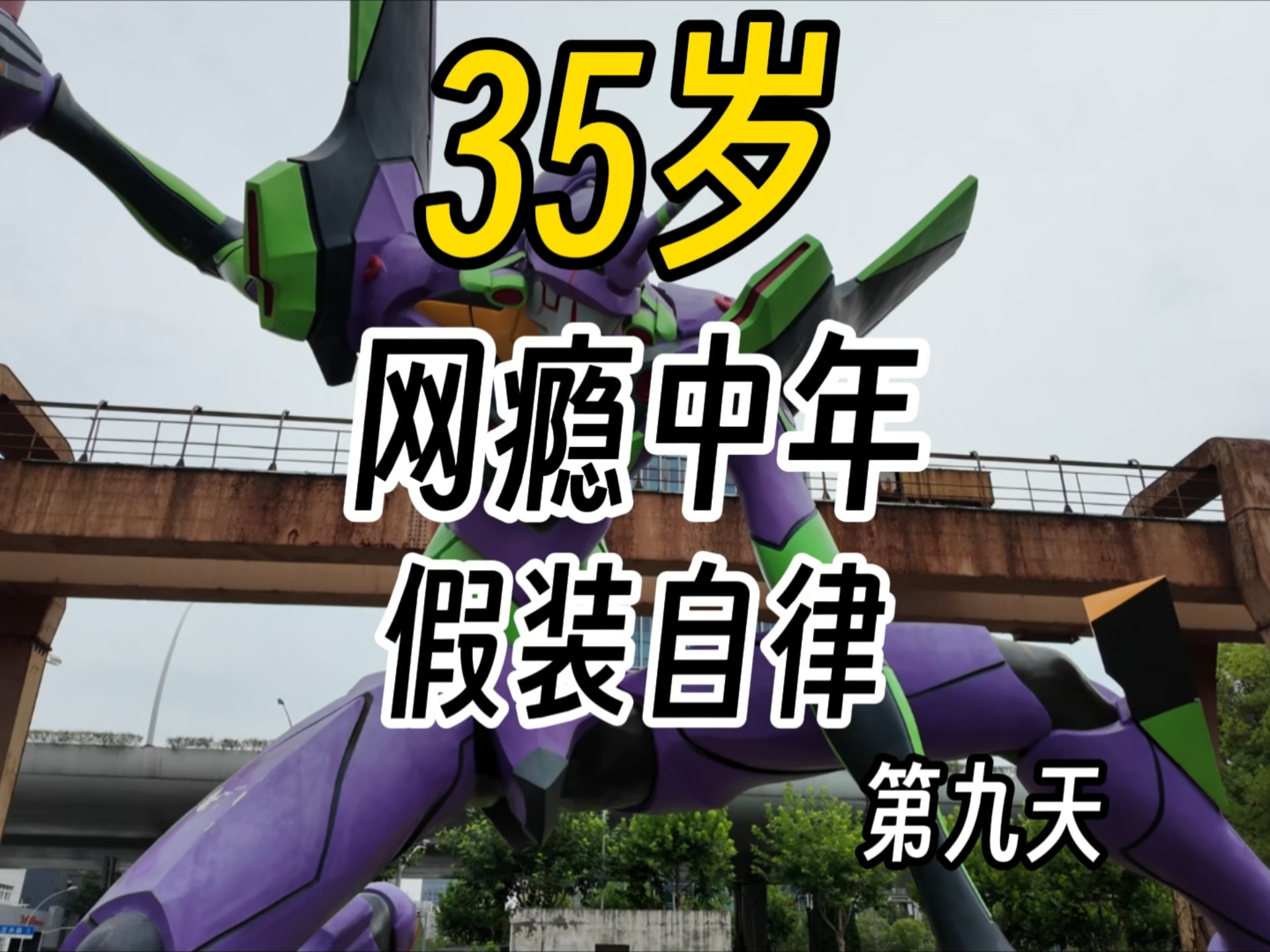 你们都以为我会半途而废？