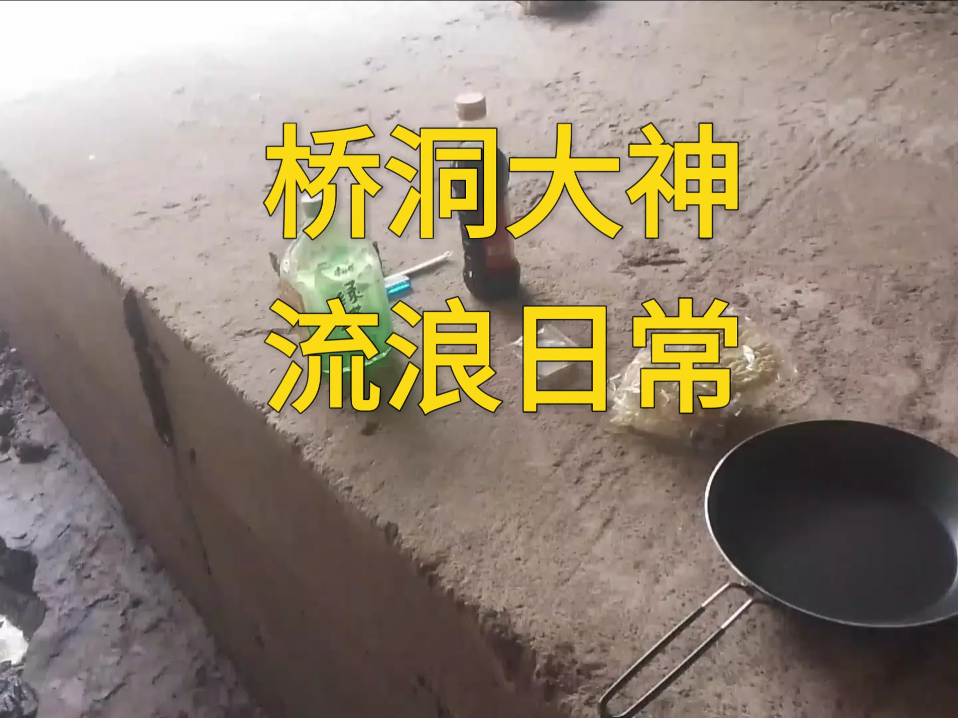 流浪日常，桥洞大神。