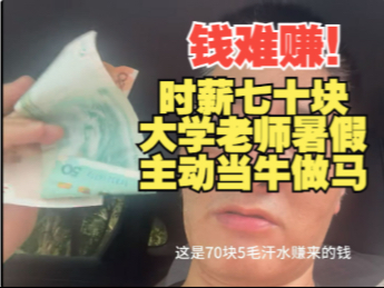 钱难赚！时薪七十，大学老师暑假主动当牛做马！