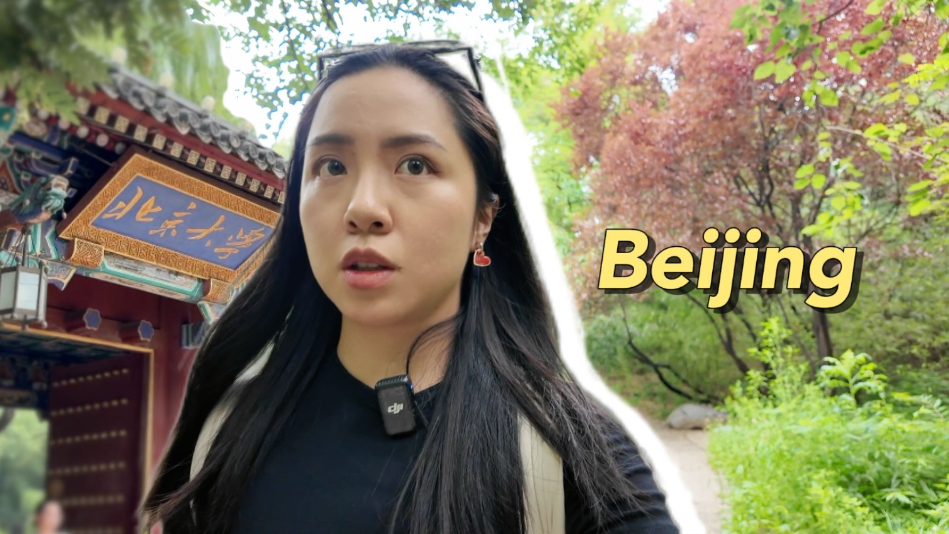 学术淡人在北大开会的一天｜全英vlog