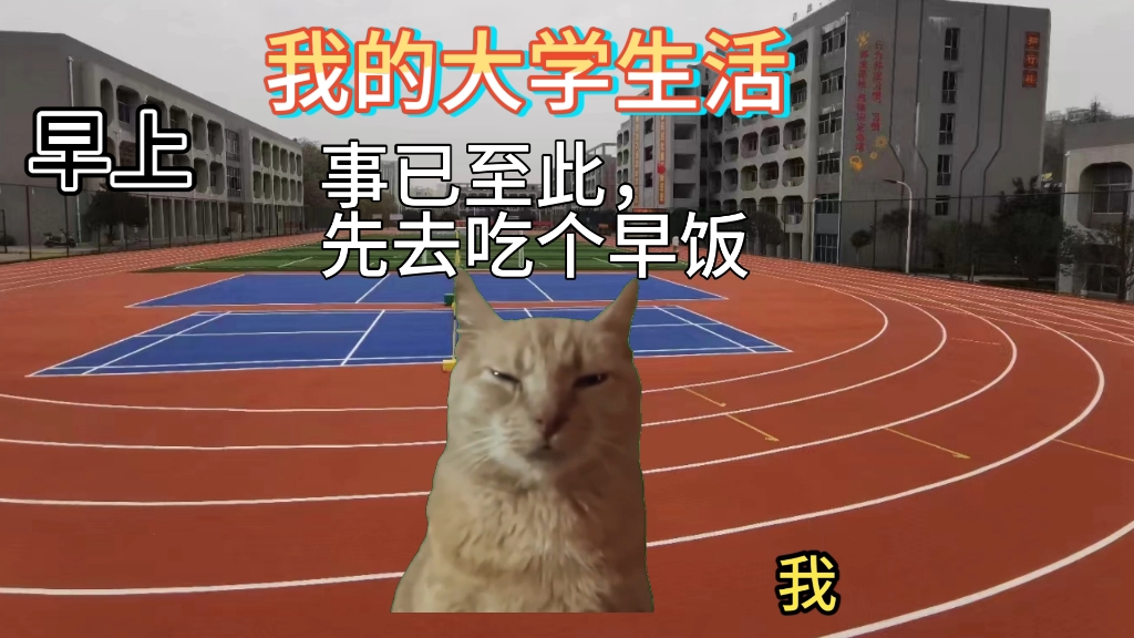 我的大学生活