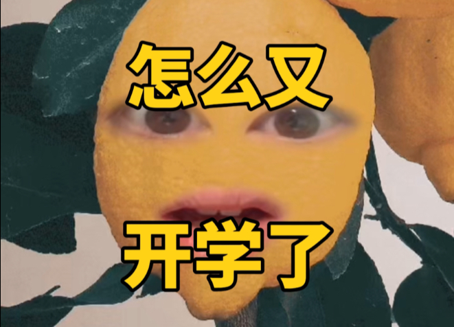 家产能不能永远像考试前一样好嗑