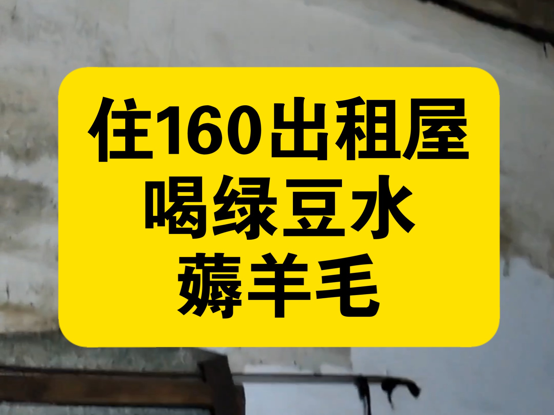 住160出租屋，夏天喝点绿豆水，美滋滋