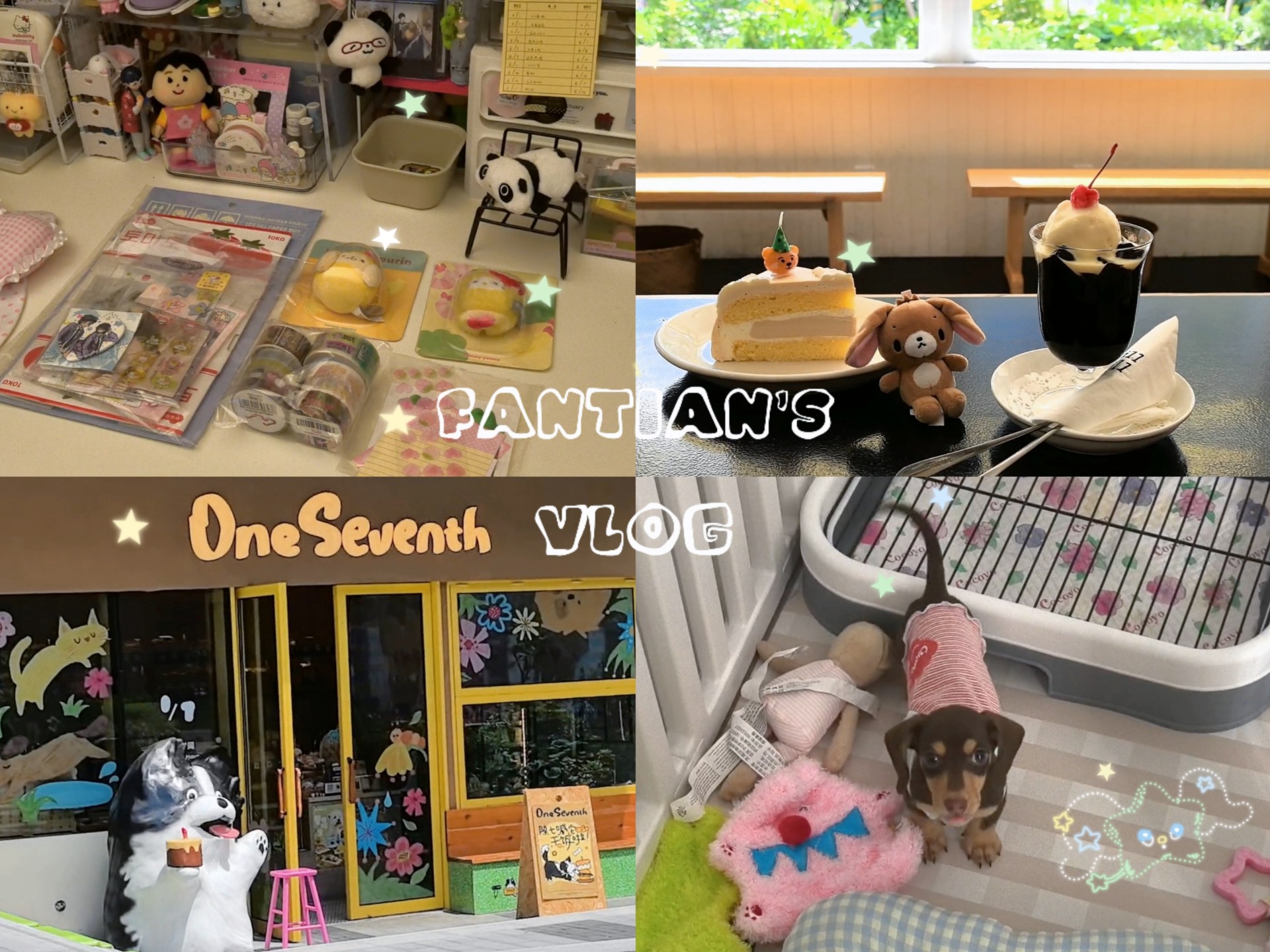 Vlog / : 欢迎新成员的到来₍ᐢ⸝⸝› ̫ ‹⸝⸝ᐢ₎｜日常碎