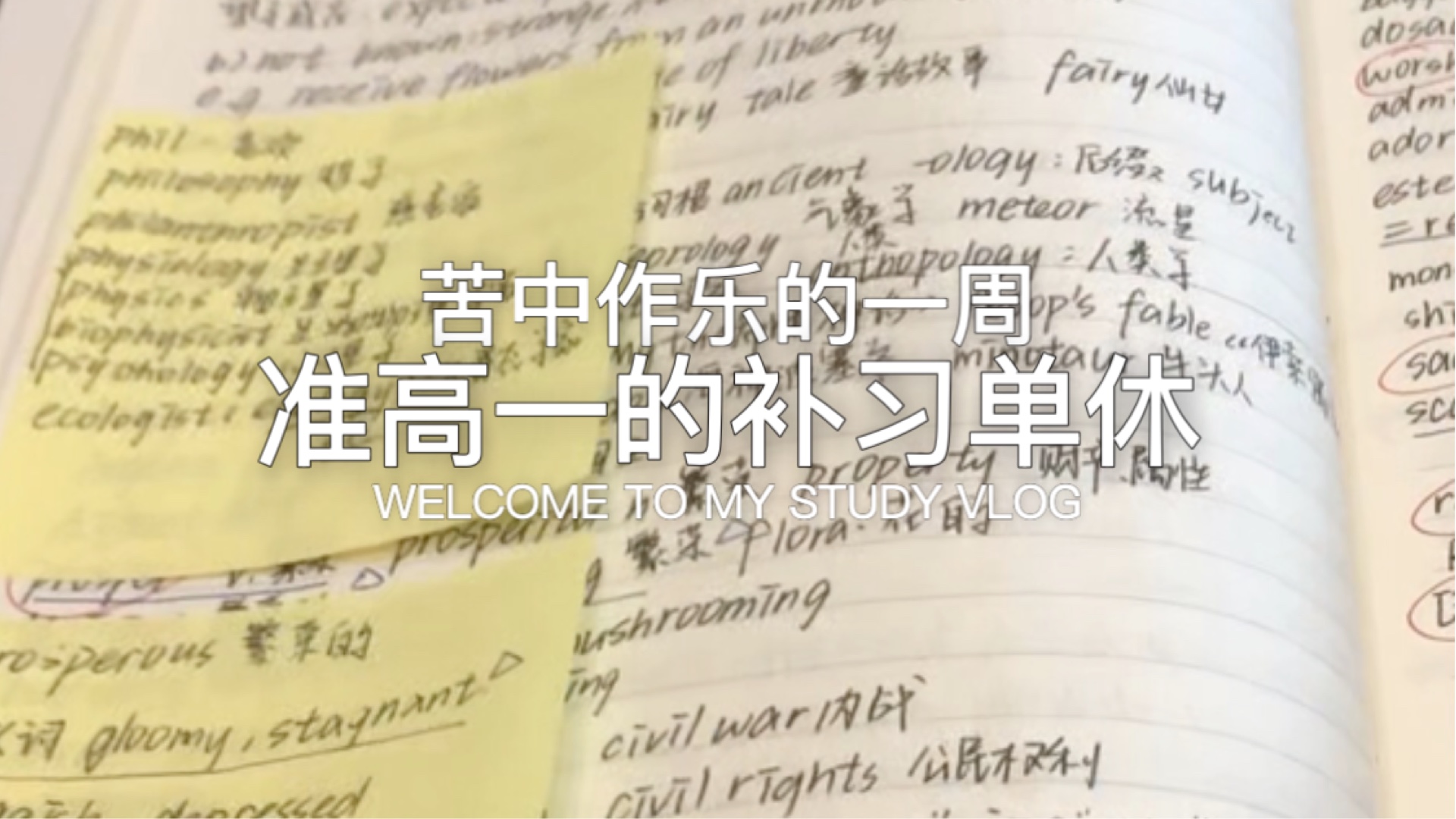 【准高一｜学习】纯理战士的苦中作乐^ ^ STUDY VLOG！！！