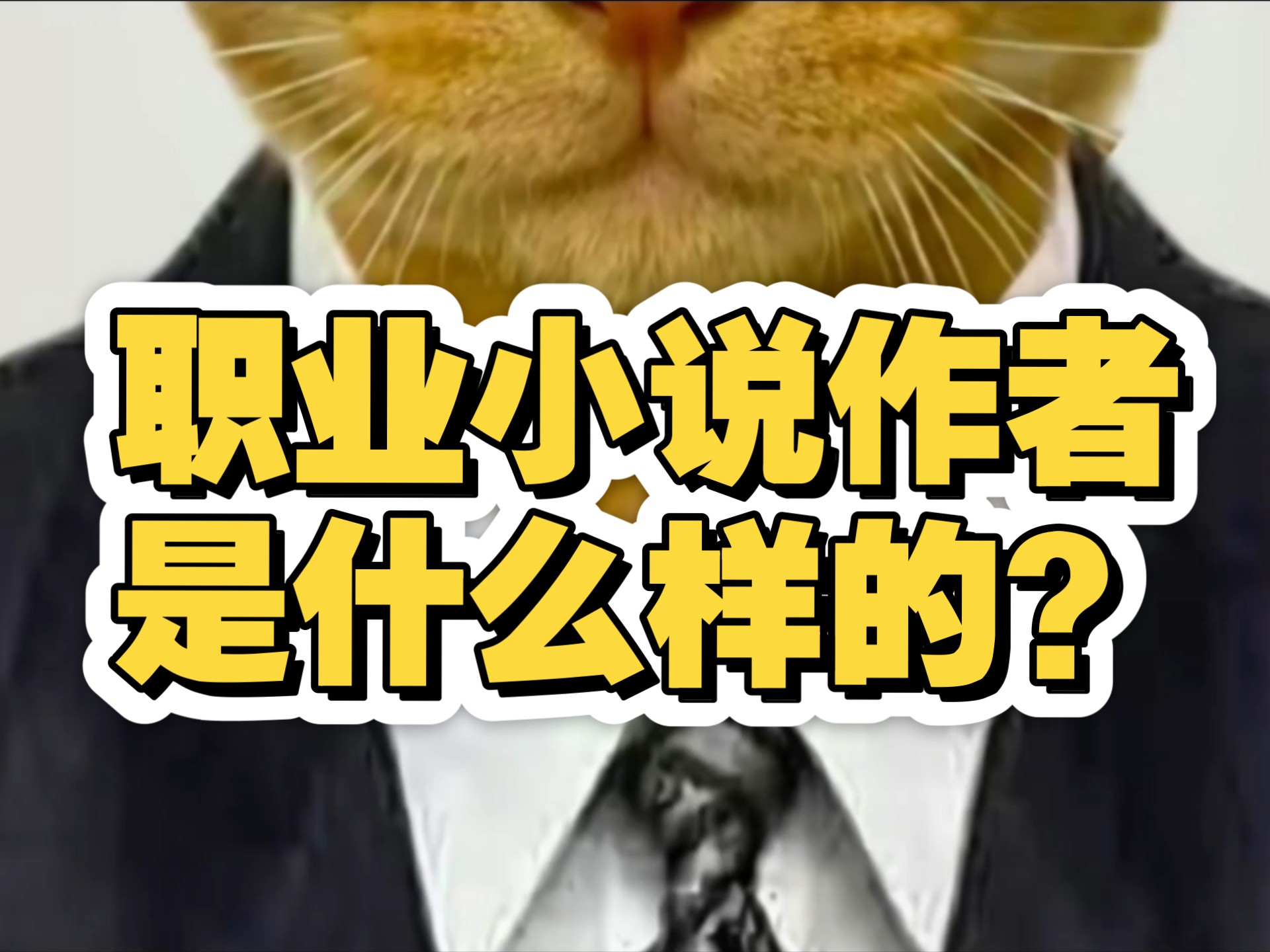职业小说作者是什么样的？
