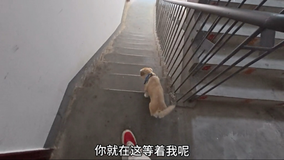 上岗第一天，换名字啦！