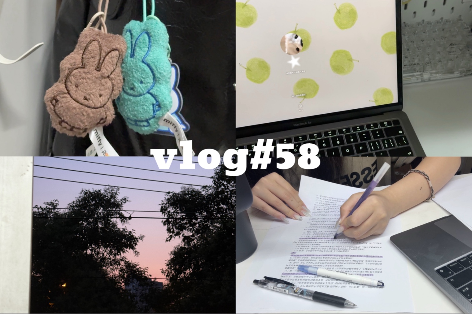 vlog#58 六月生存报告2.0/低能量p人写作业备考日常/买萌物奖