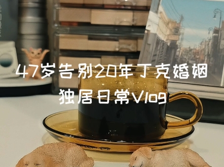 47岁告别20年丁克婚姻独居日常Vlog｜谢谢你们