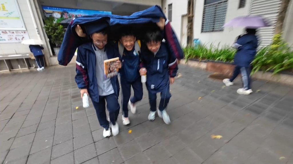 找到几个有意思的片段