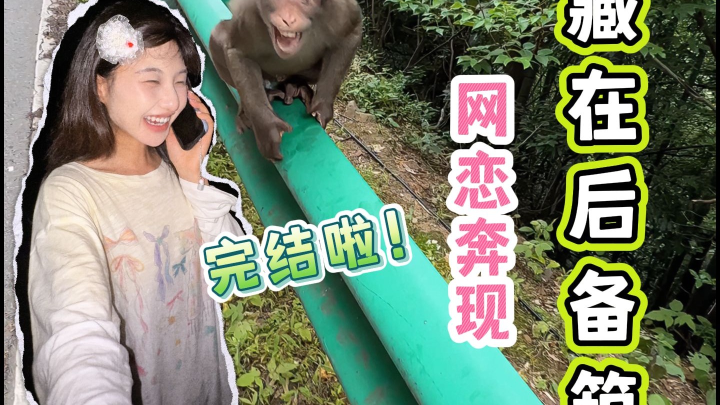 【完结】偷偷在后备箱里藏2天，陪堂姐去网恋奔现！终于结束啦！！