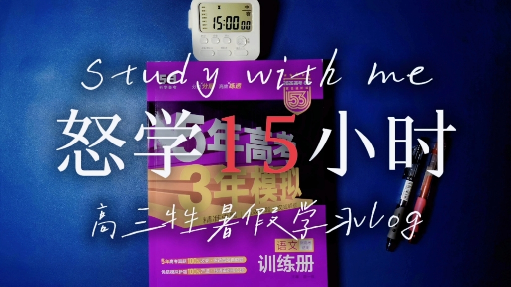 怒学15小时！Study WithMe｜准高三｜物化生｜动力向｜沉浸式学习｜氛围感