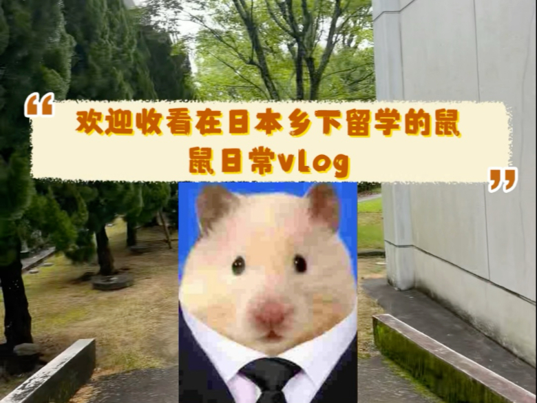 在日本乡下国公立大学留学的鼠鼠的日常vlog