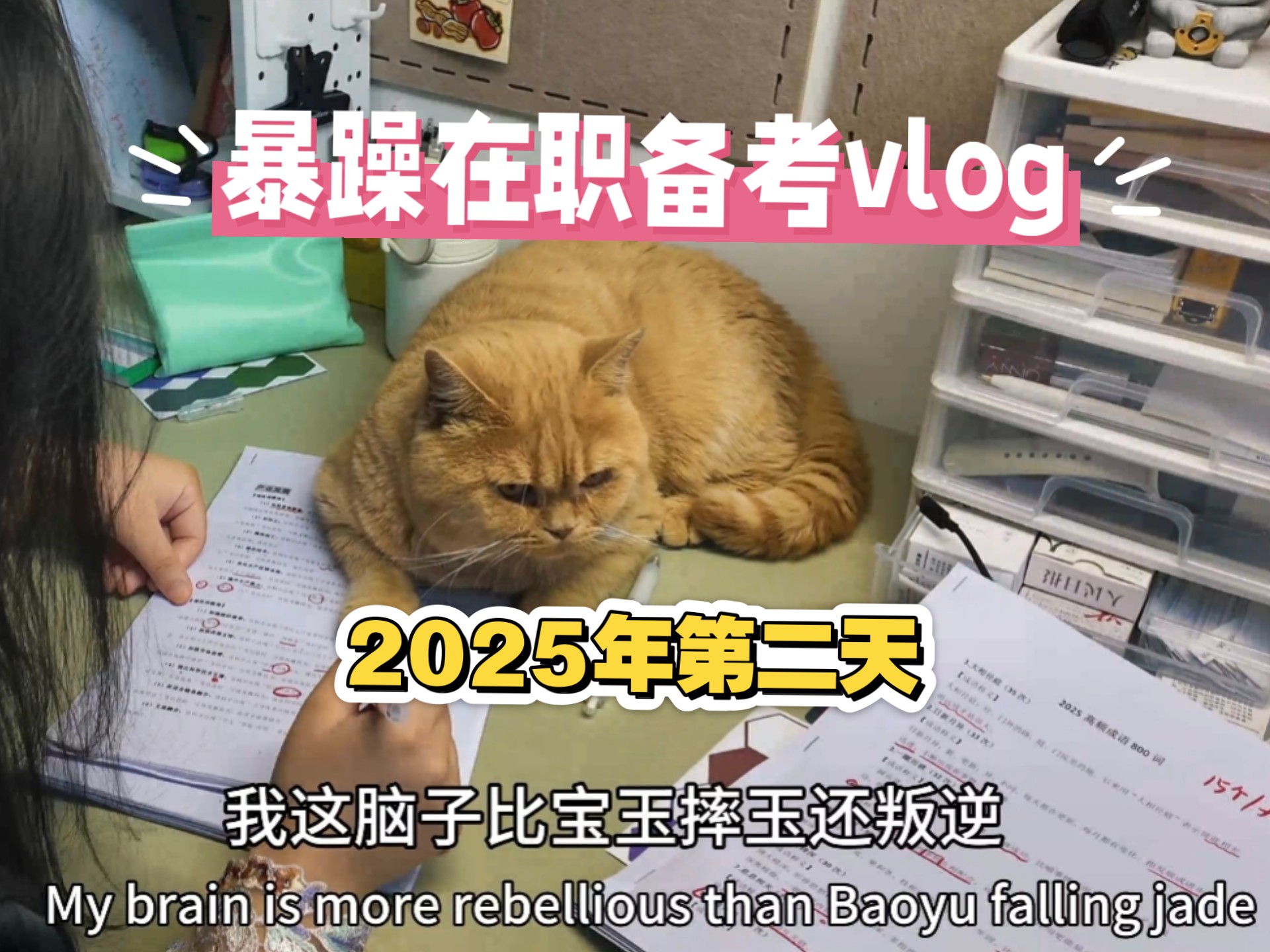 暴躁在职备考vlog2025第二天