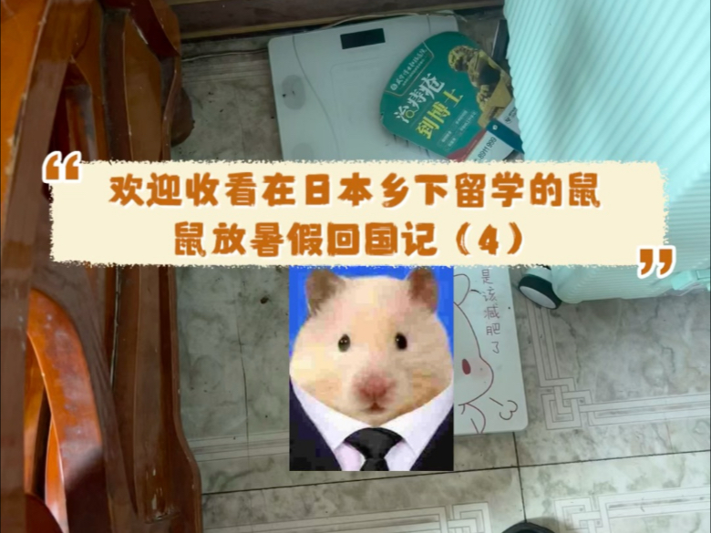 在日本乡下留学的鼠鼠之放暑假回国篇（4）