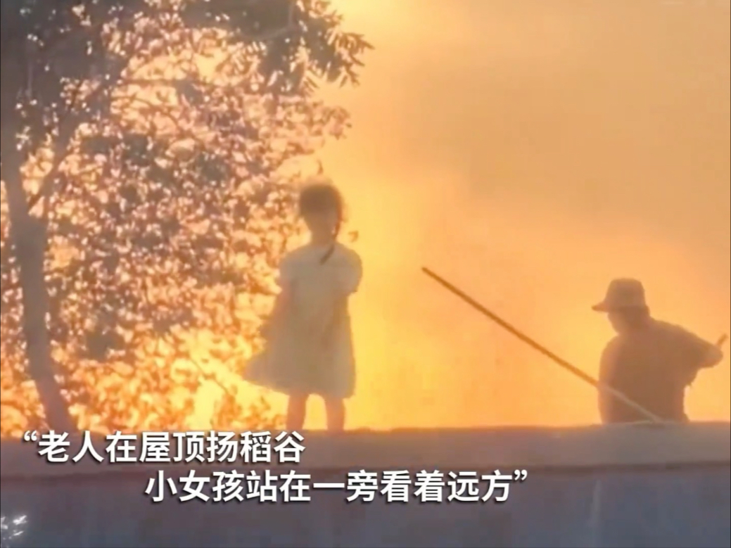 平凡生活的美好瞬间！