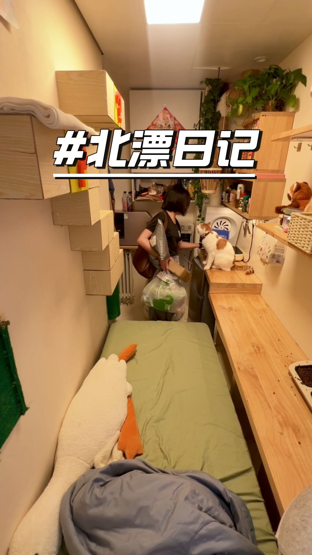 再燥热的天气，也得沉下心好好工作