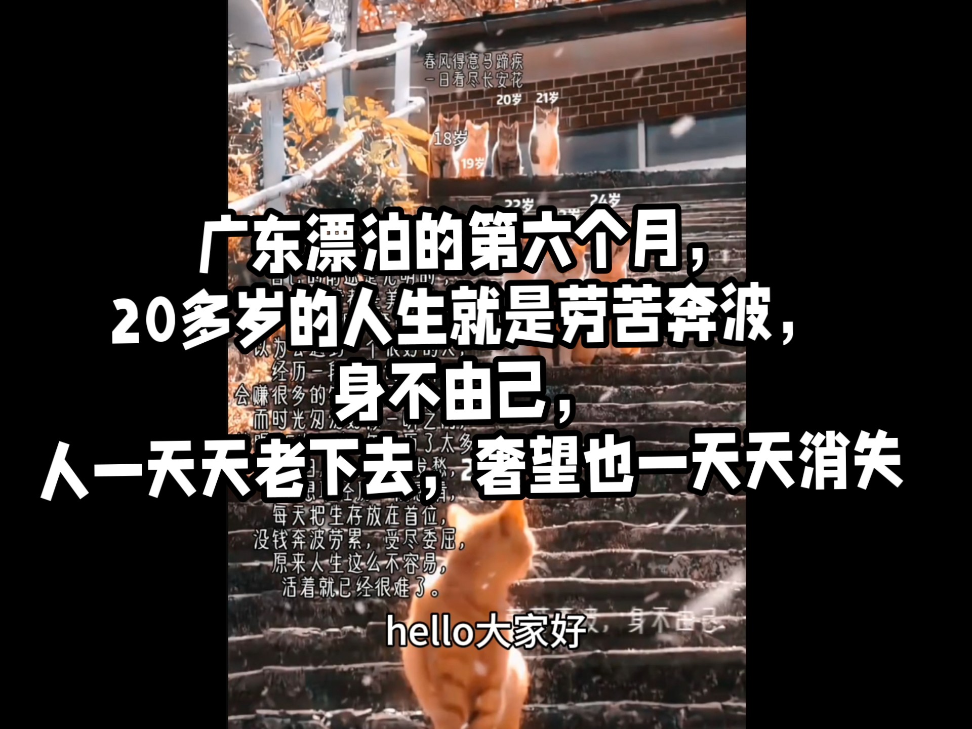 广东漂泊的第六个月，20多岁的人生就是劳苦奔波，身不由己，人一天