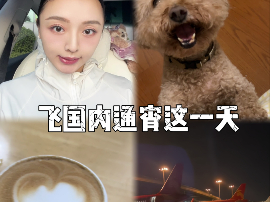 空姐vlog｜大家好 我是鳌拜的妹妹 熬夜