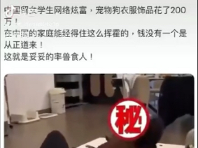 这就是杨兰兰的世界吗