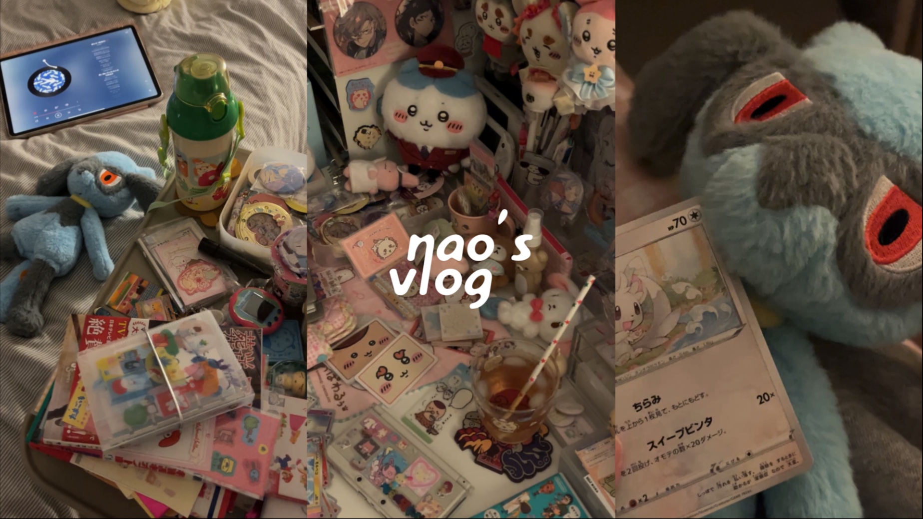 vlog ૮⁔•︡ ᴥ •︠⁔ა