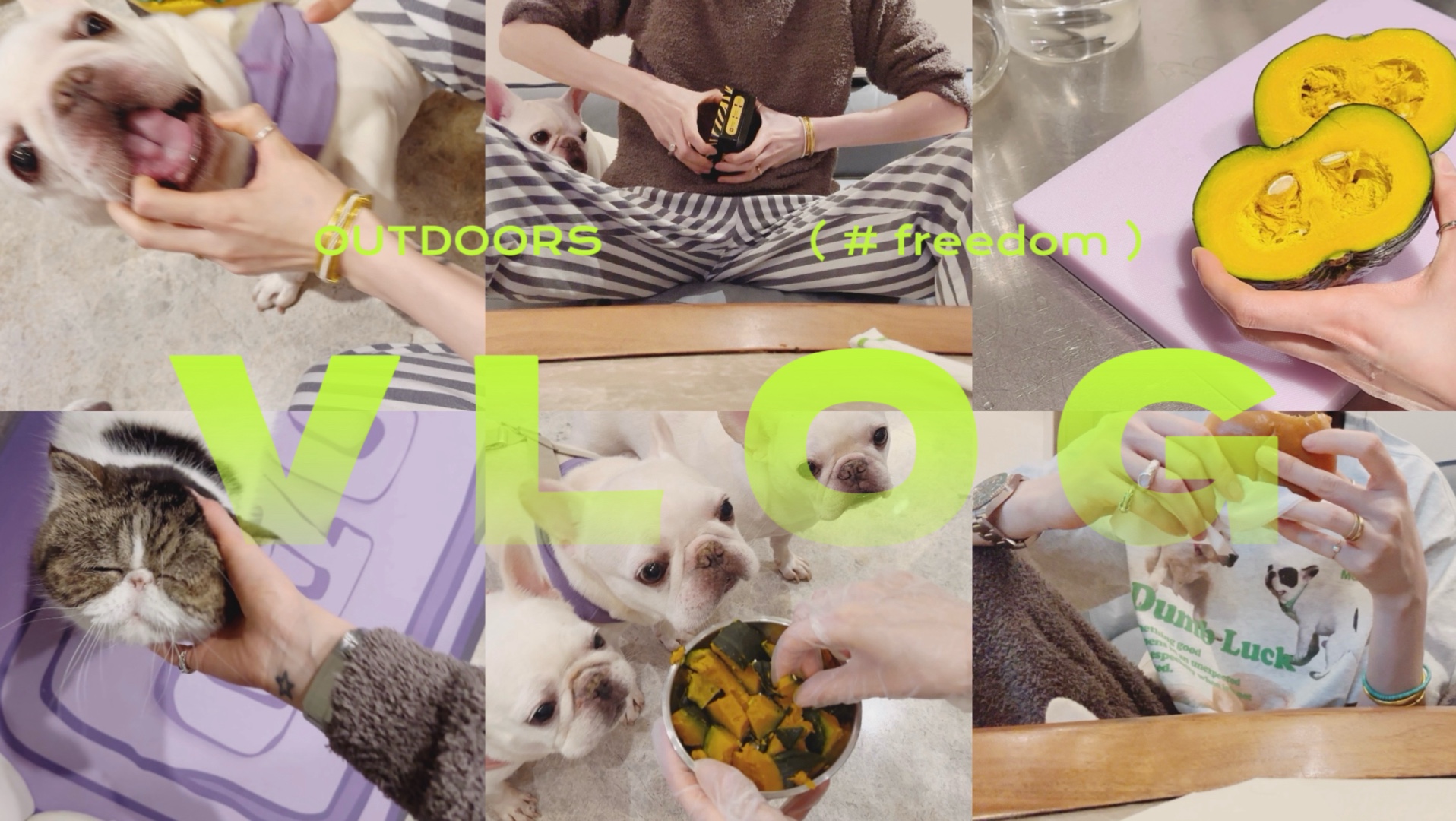 VLOG｜宅女日常 乱成一锅粥了 主线任务躺平一下 照顾小狗+撸猫