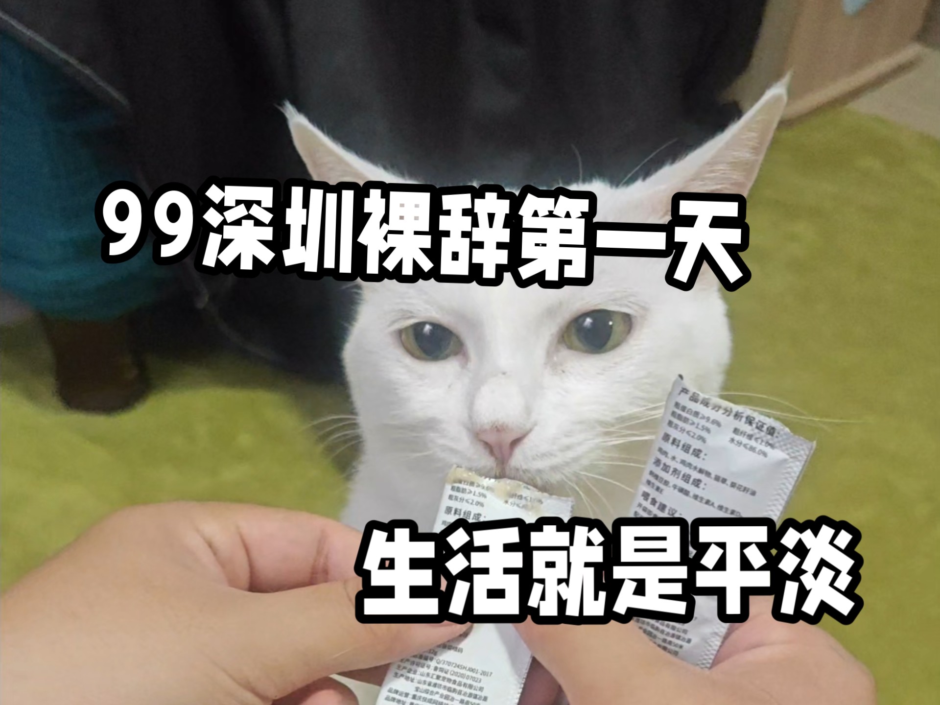99年深圳裸辞第一天日常vlog。找回生活的第一步就是让环境变