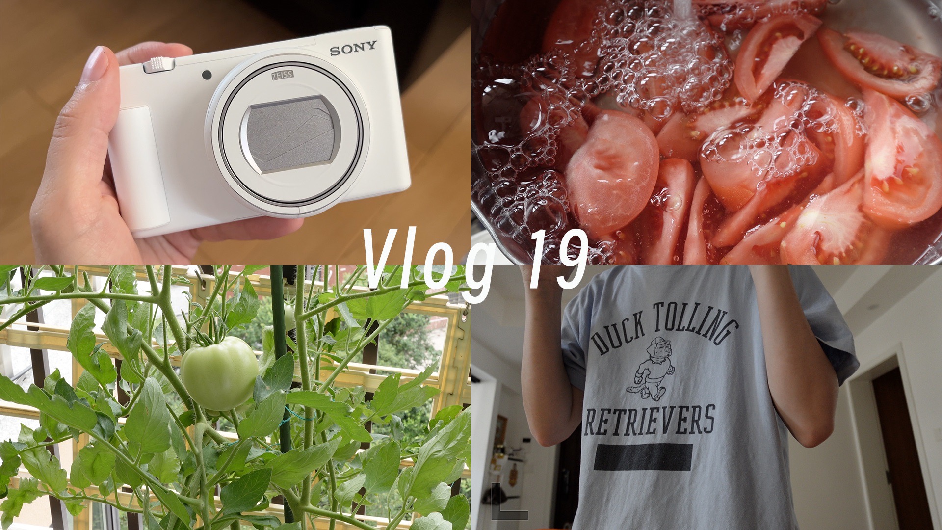 大潦的vlog｜解决拖延症｜试用sony zv1m2｜呼和浩特意面｜制作手工贝