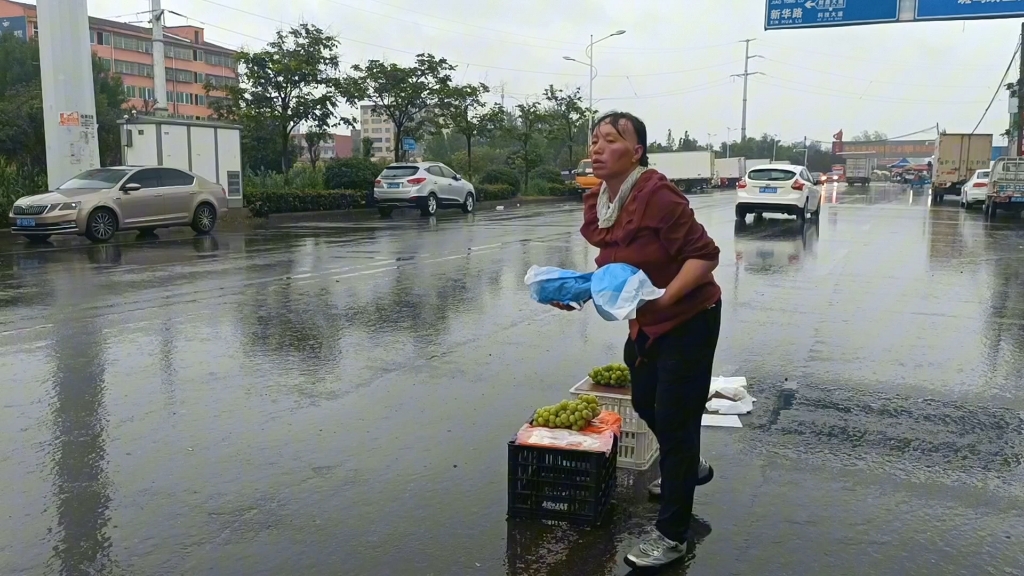 老谢摆摊生活，今天老谢进了很多水果卖也不好，天又下起了大雨，老