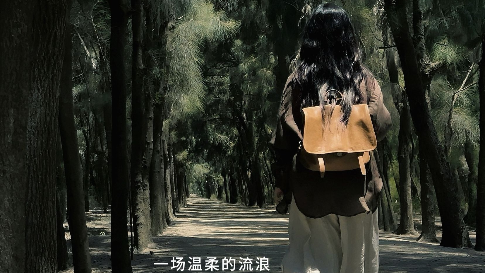INFP|一场温柔的流浪