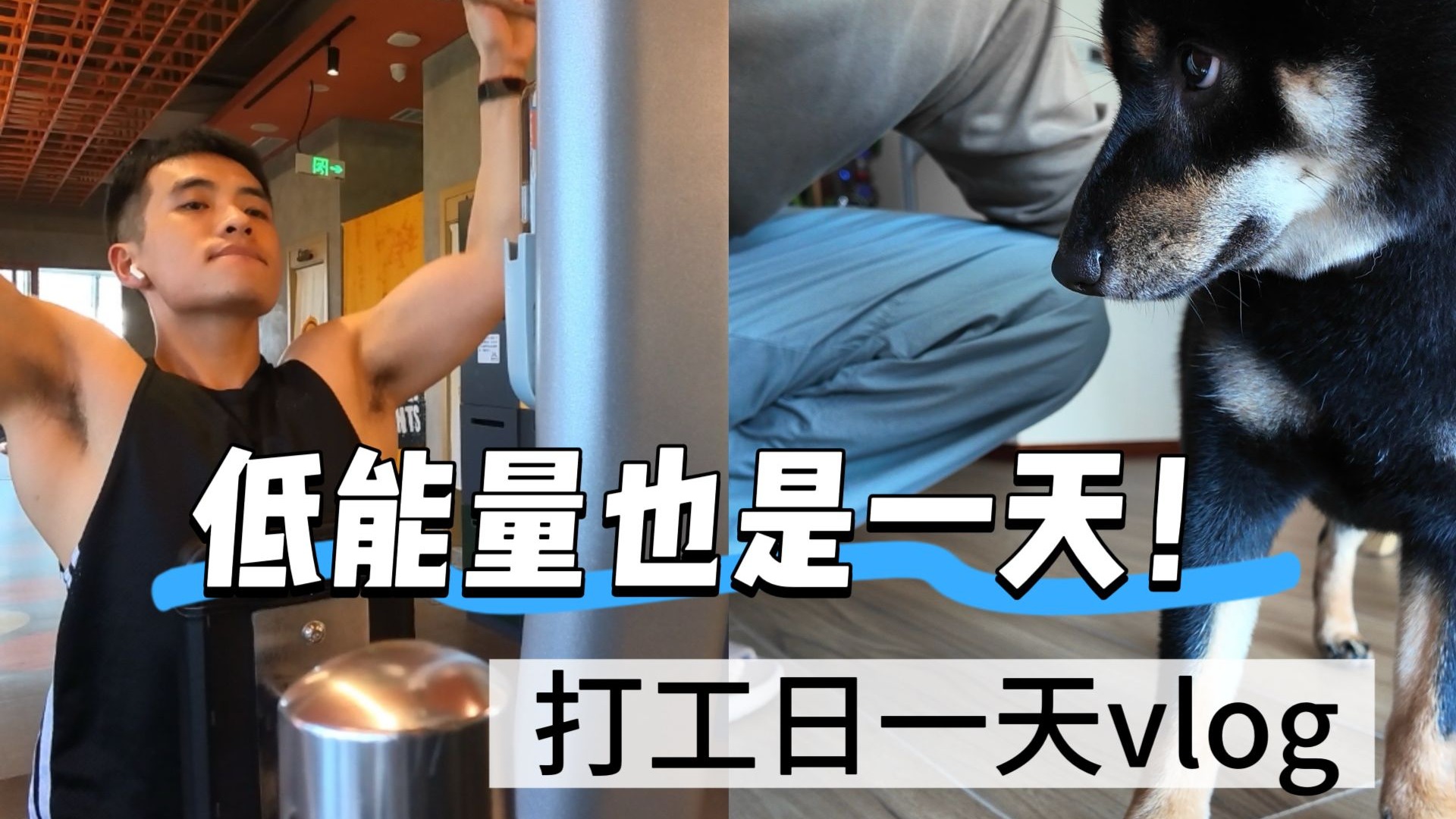 高低能量怎么也是一天 | 普通打工人的一天vlog | 健身养宠上