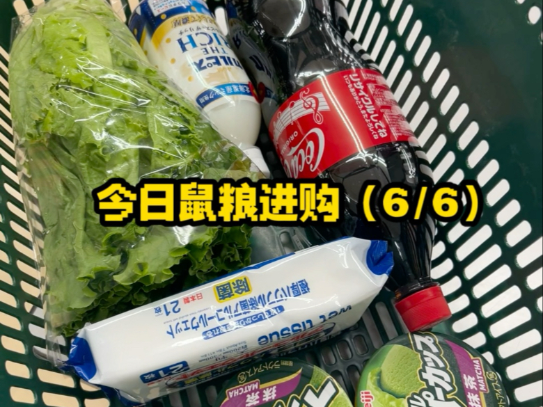 在日本乡下国公立大学留学的鼠鼠：今日份的鼠粮进购vlog