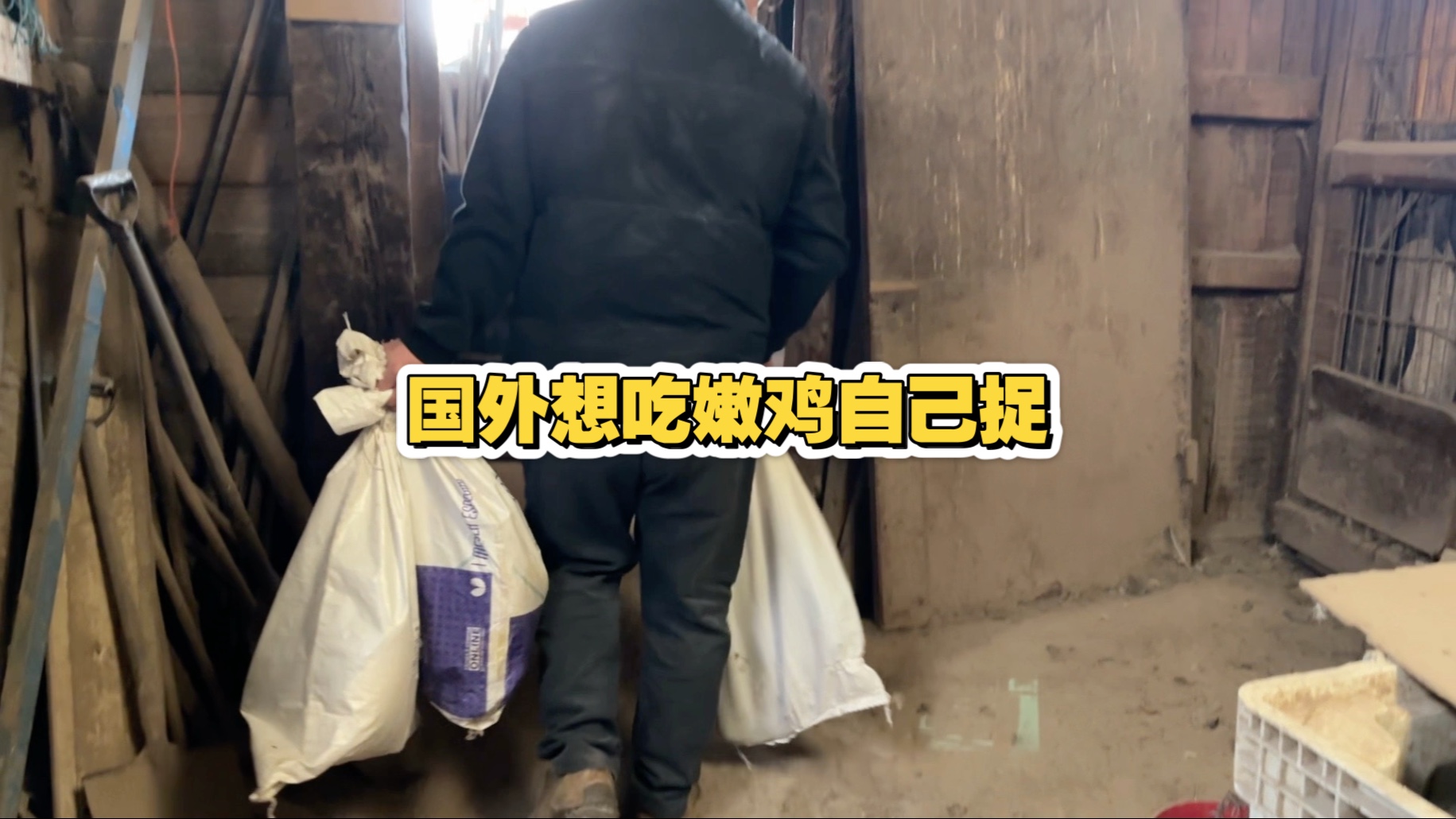在国外想吃新鲜嫩鸡不容易，来回一趟费用不少