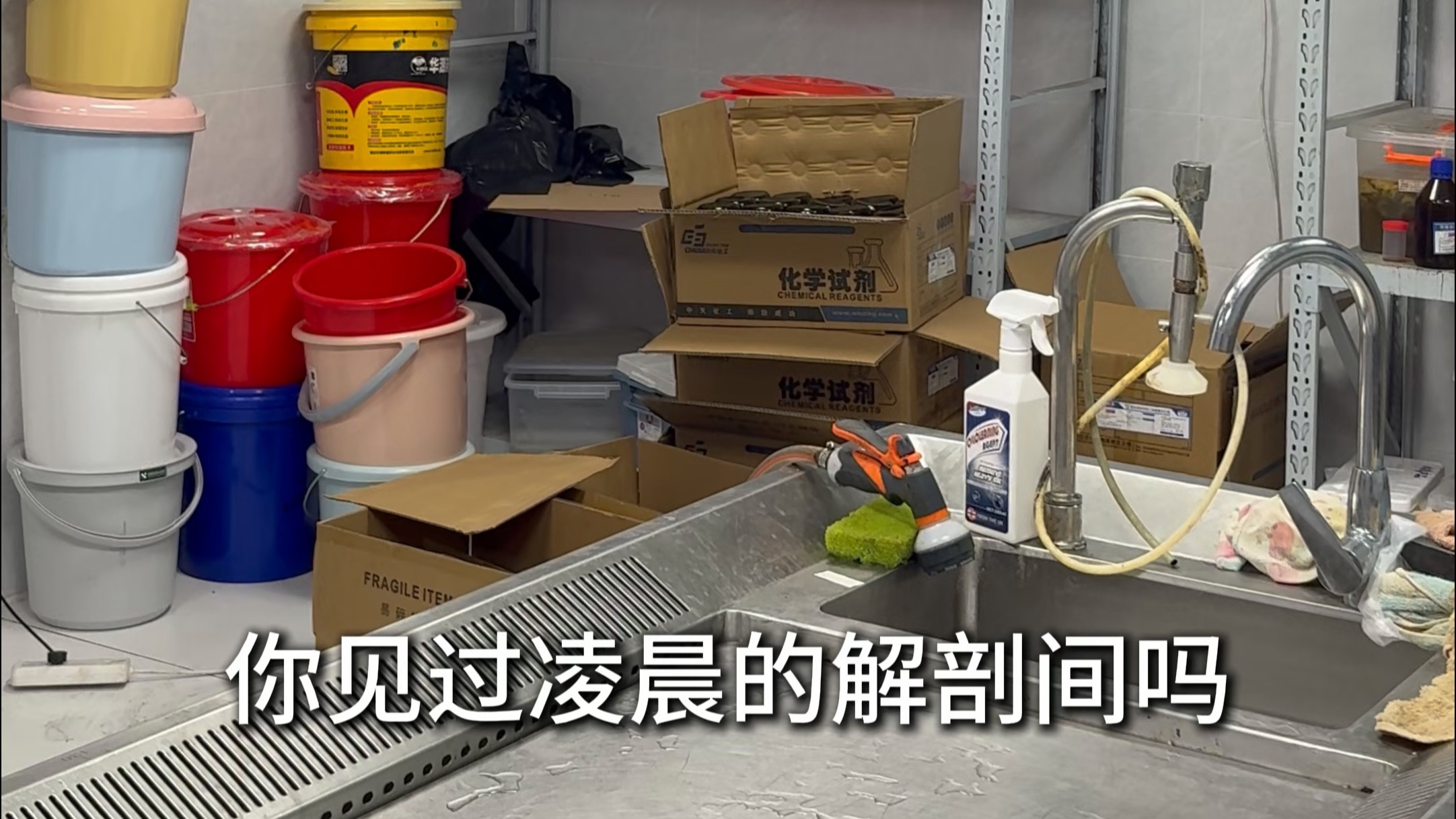 凌晨三点的解剖间，你我都无眠